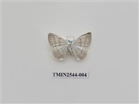 藏品(尺蛾32)的圖片